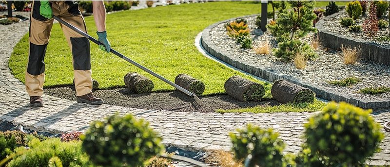 Crew installing new sod next to stone-edged planting beds
